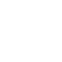 Fizzics